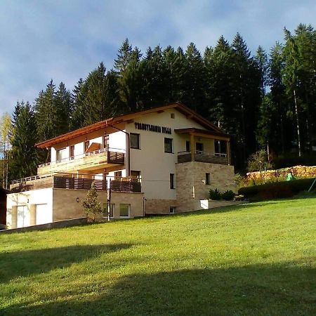 Transylvania Villa & Spa Gosau Exteriör bild